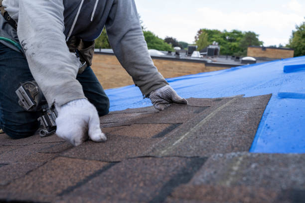 Best Residential Roofing Contractor  in New Baltimore, MI