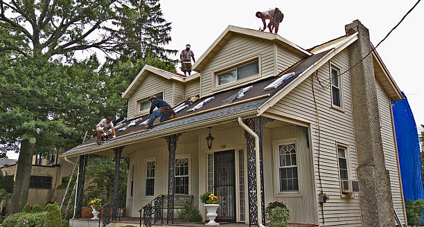 Best Roof Restoration Services  in New Baltimore, MI